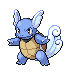 squirtle एनिमेटेड-छवियां-gif